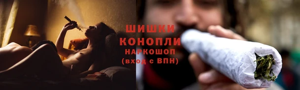 марихуана Заводоуковск