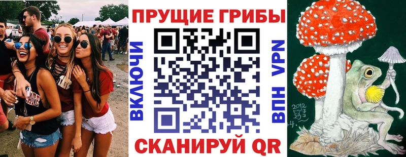 KRAKEN зеркало  Камень-на-Оби  Псилоцибиновые грибы Psilocybine cubensis 